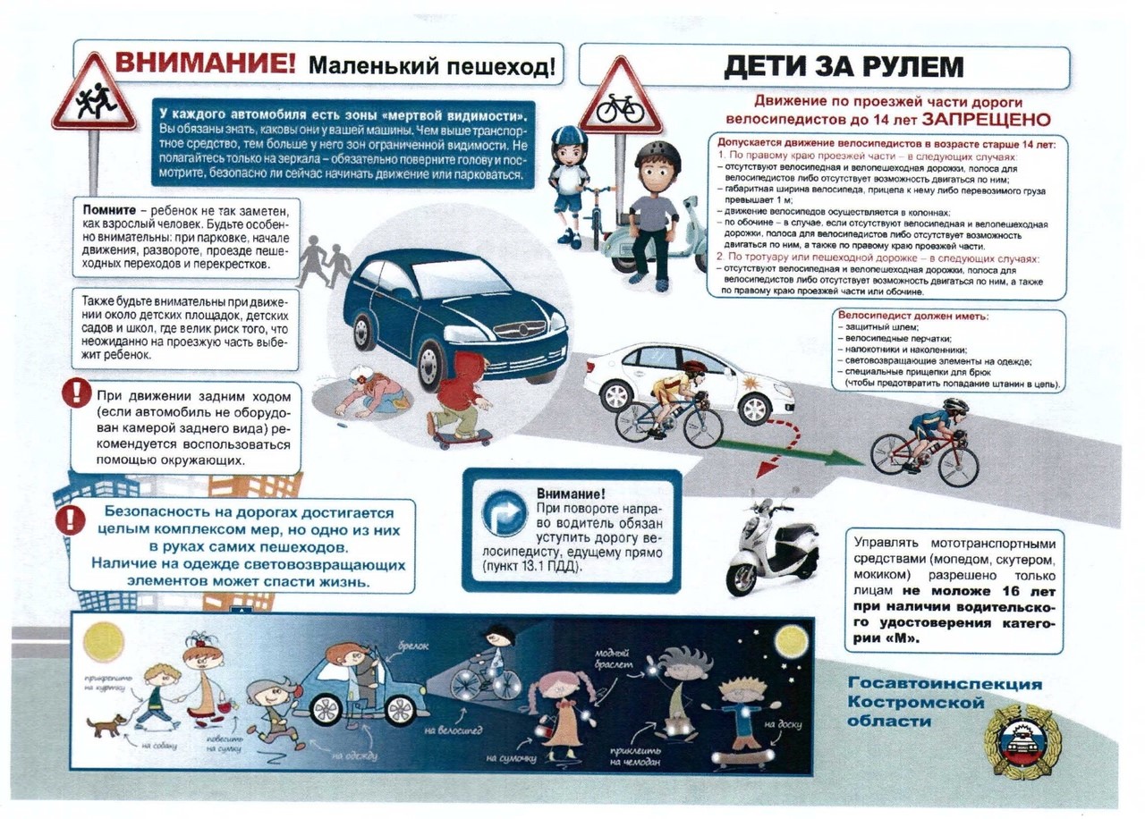 Внимание! Маленький пешеход. Дети за рулем